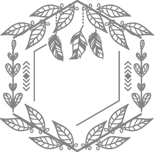 手绘植物边框装饰图案