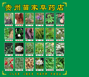 贵州苗家草药店