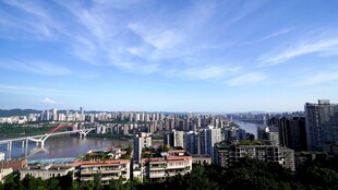 城市江景全景风光图