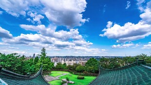 蓝天绿地间的美丽景致