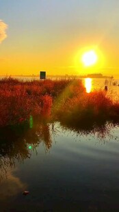 夕阳下的湿地美景