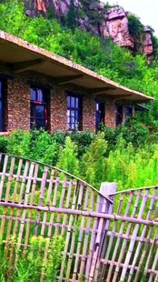 荒废小屋被绿植环绕
