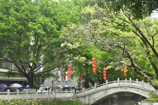 江南水乡古建古镇古桥