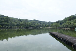 宁静的湖面水面倒影