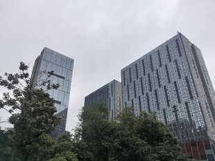 城市高楼与绿树景观
