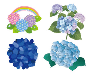 矢量绣球花