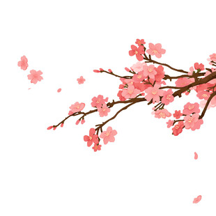 粉色樱花枝 花瓣飘落