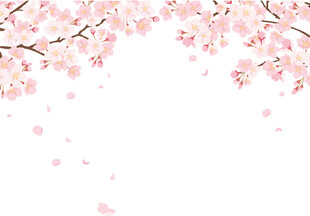 浪漫樱花飘落背景图