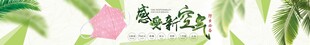 口罩 绿植