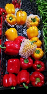 多彩甜椒新鲜蔬菜组合