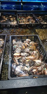 海鲜市场的多样贝类