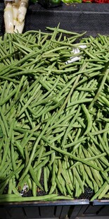 新鲜翠绿四季豆满满当当