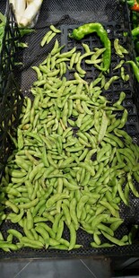 新鲜翠绿的豆角蔬菜