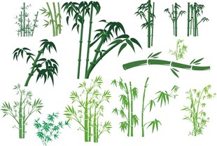 矢量竹子竹叶