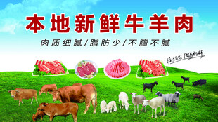新鲜牛羊肉