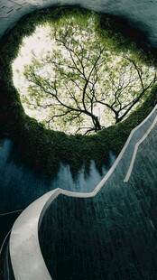 奇幻树洞下的蜿蜒之路