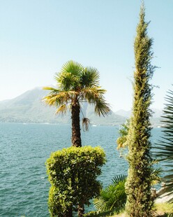 湖畔绿植与远处山峦美景
