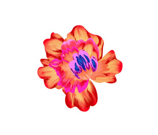 绚丽多彩花朵插画