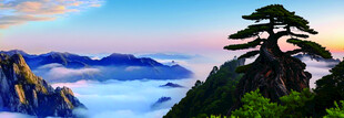 黄山美景  云雾缭绕 青松挺立
