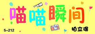 喵喵瞬间拍立得灯箱海报