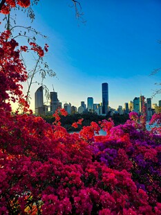 繁花映都市天际线美景