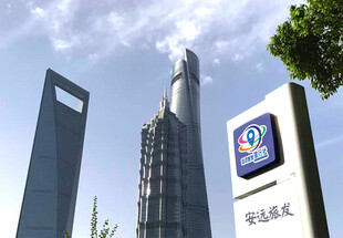 安远旅发旅行社标志