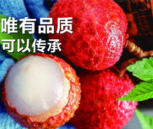 高品质荔枝  