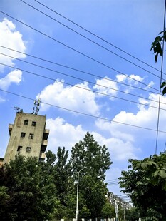蓝天白云下的建筑与绿树
