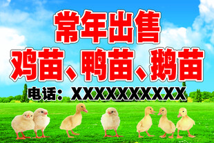 常年出售