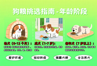 幼犬狗粮挑选指南