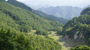 青山翠谷间的秀丽风光