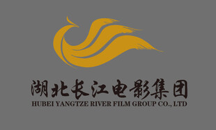 湖北长江电影集团logo