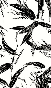 水墨风植物叶片插画