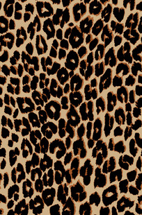 豹纹图案纹理
