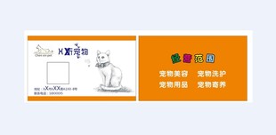 宠物 猫 名片