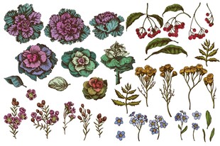 花卉