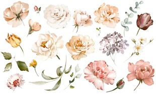花卉