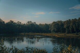宁静湖畔的自然美景