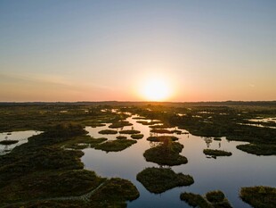 夕阳下的湿地美景