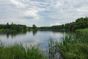 宁静湖畔自然风光