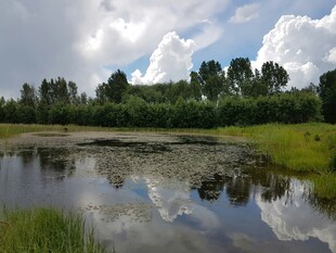 宁静湖畔风光