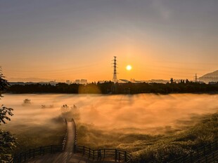 日出时分的朦胧田野美景
