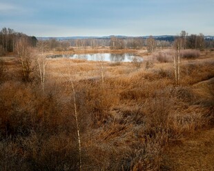 秋日旷野中的静谧水域