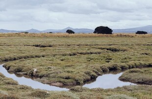 草原蜿蜒溪流自然美景