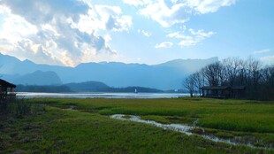 湖畔绿野风光