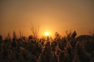 夕阳下的田野美景