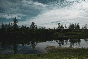宁静湖畔的自然景致