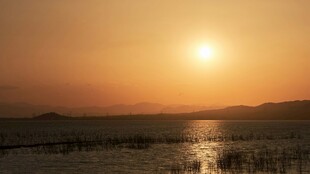 夕阳下波光粼粼的水面