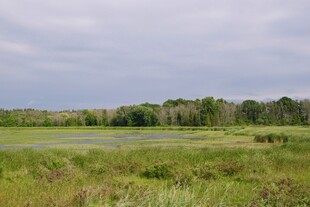 广袤原野上的自然景致