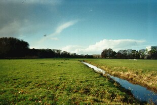 田园风光中的蜿蜒水渠